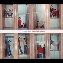Elevator Music von Trüby Trio | CD | Zustand gut