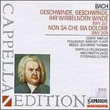 Bach: Geschwinde Geschwinde, ihr Wirbelnden Winde BWV 201 / Non sa che sia dolore BWV 209