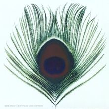 Apple Venus Vol.1