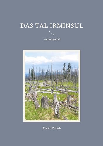 Das Tal Irminsul: Am Abgrund