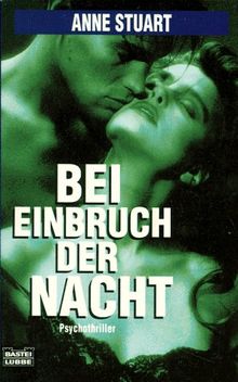 Bei Einbruch der Nacht. Psychothriller.