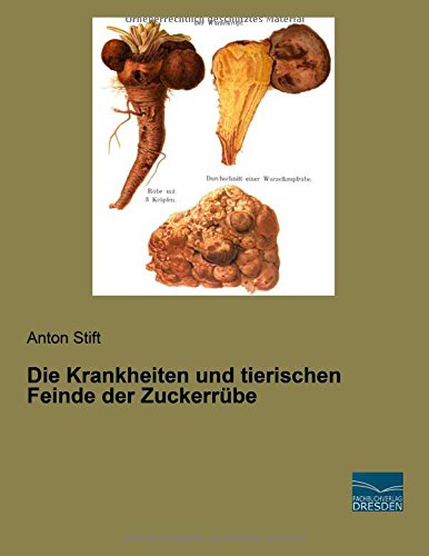 Die Krankheiten und tierischen Feinde der Zuckerruebe