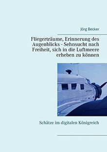 Fliegerträume, Erinnerung des Augenblicks - Sehnsucht nach Freiheit, sich in die Luftmeere erheben zu können: Schätze im digitalen Königreich