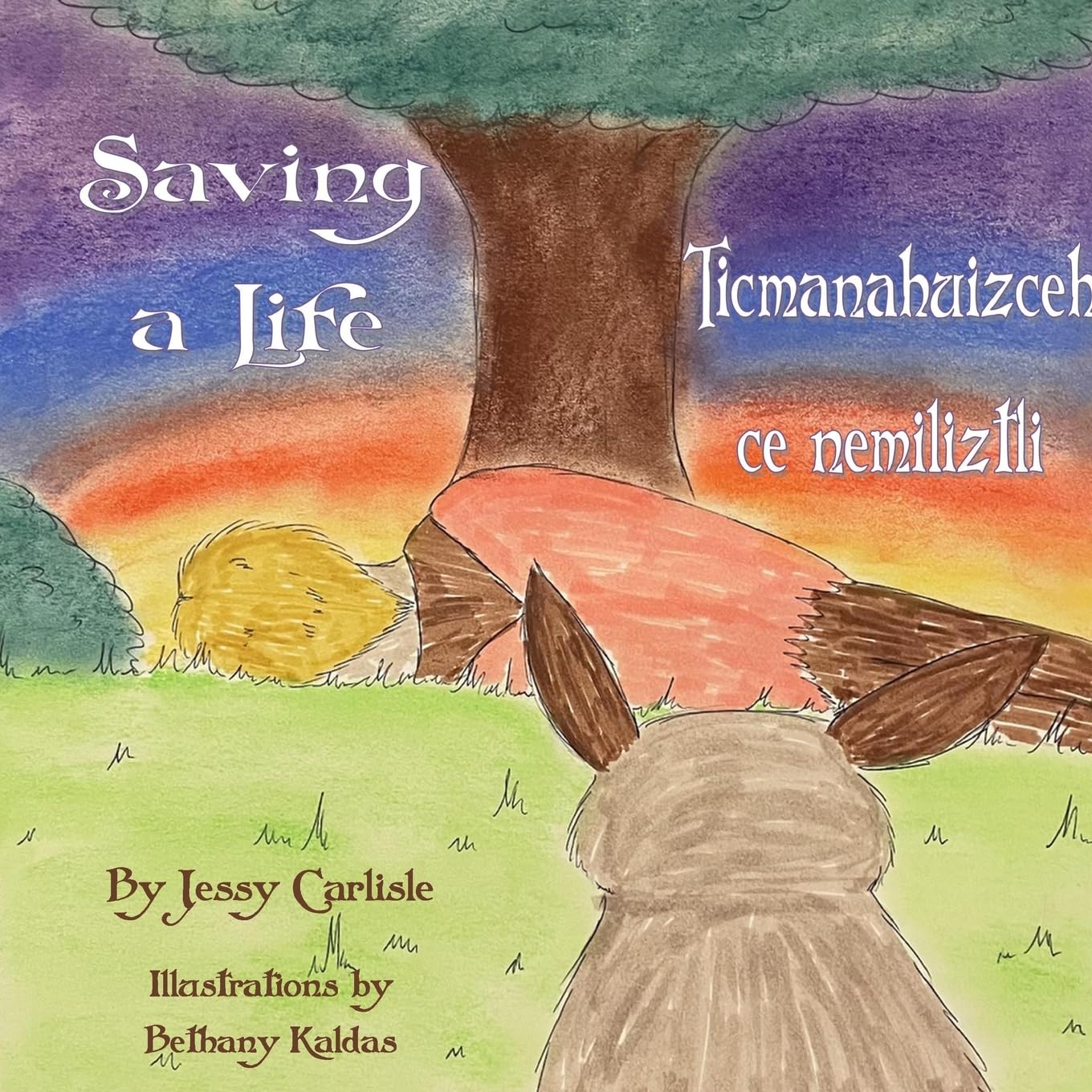 Saving a Life / Ticmanahuizceh ce nemiliztli: The Legend of Quetzalcoatl & the Rabbit / Tlapohualiztli Quetzalcoatl huan cuatochin (Bilingual Legends, Band 421)
