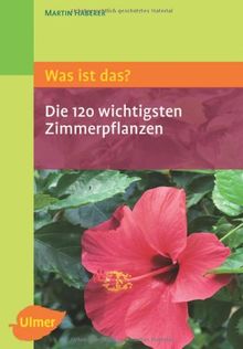 Was ist das? Die 120 wichtigsten Zimmerpflanzen: Zimmerpflanzen spielend leicht erkennen