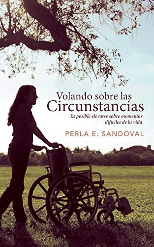 Volando sobre las circunstancias: Es posible elevarse sobre momentos difíciles de la vida: Es Posible Elevarse Sobre Momentos Dificiles de La Vida