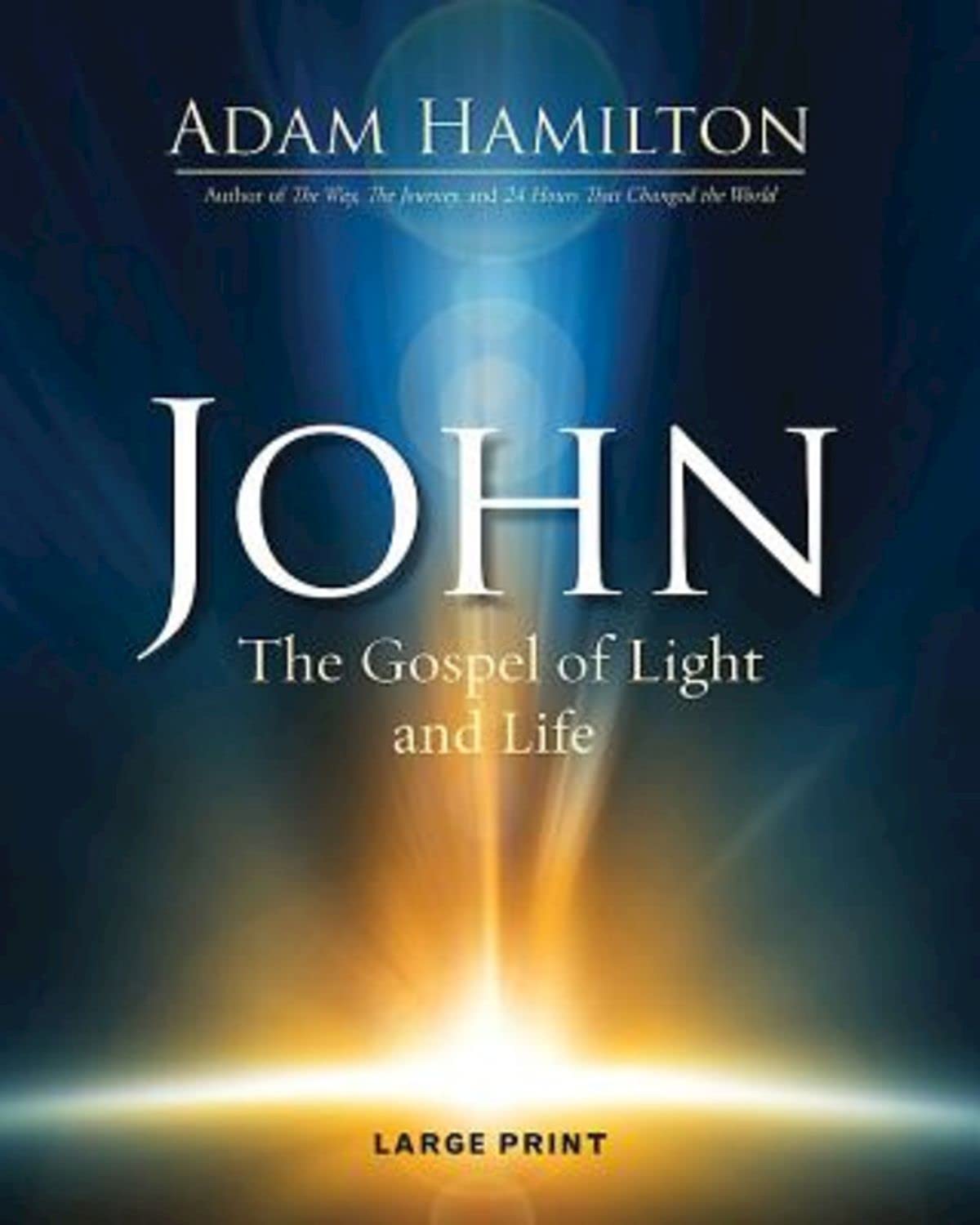 John [Large Print]: The Gospel of Light and Life (John series)