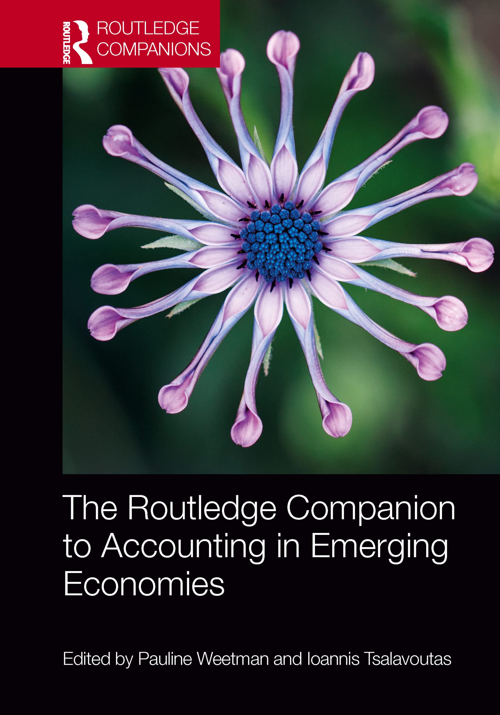 The Routledge Companion to Accounting in Emerging Economies (Routledge Companions in Business, Management and Marketing)