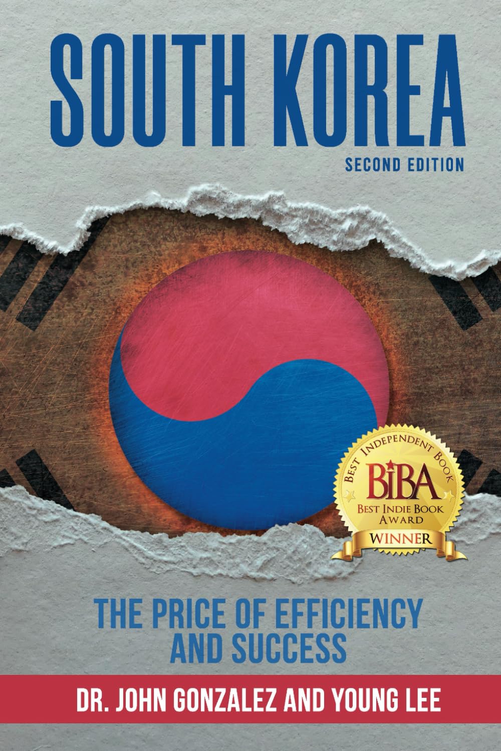 SOUTH KOREA: The Price of Efficiency and Success