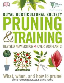 RHS Pruning & Training: What, When, and How to Prune