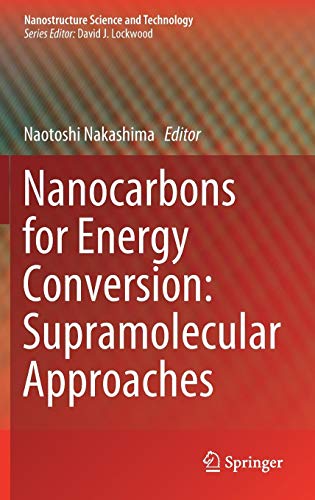 Nanocarbons for Energy Conversion: Supramolecular Approaches (Nanostructure Science and Technology)
