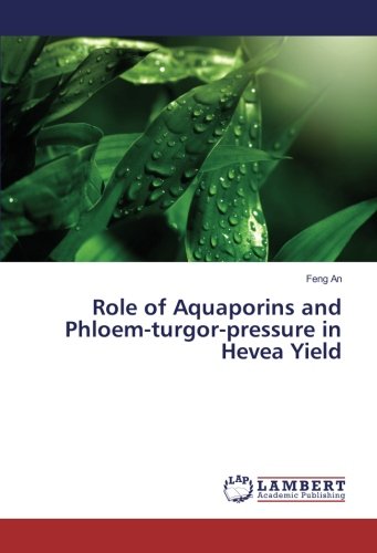 Role of Aquaporins and Phloem-turgor-pressure in Hevea Yield