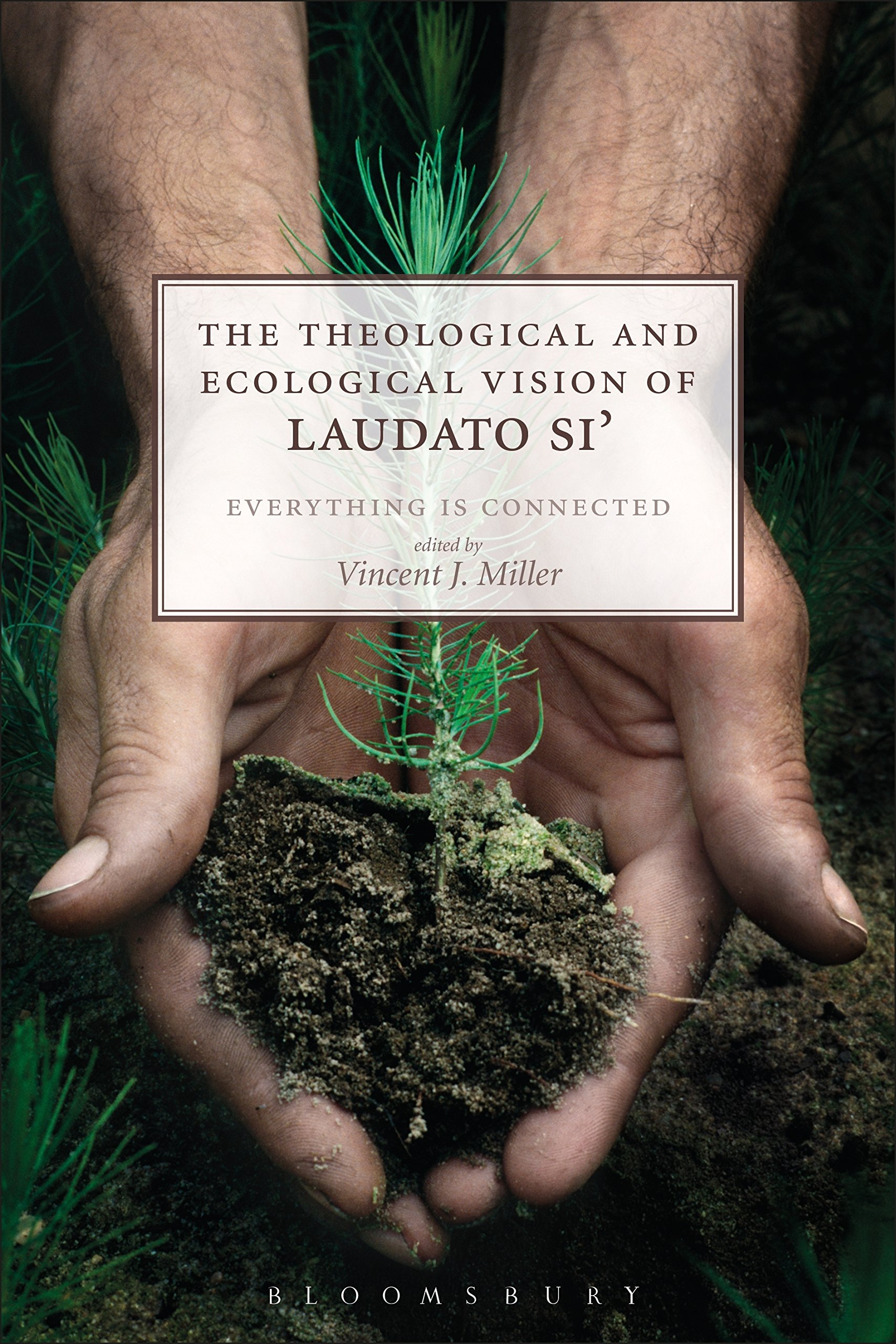The Theological and Ecological Vision of Laudato Si': Everything is Connected