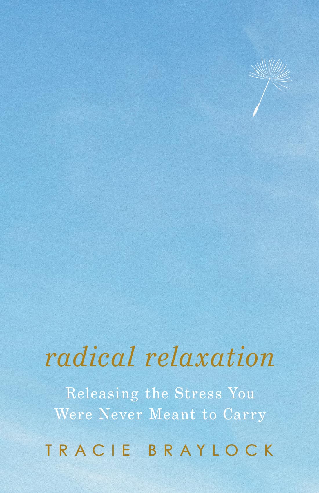 Radical Relaxation: Releasing the Stress You Were Never Meant to Carry
