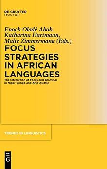 Focus Strategies in African Languages: The Interaction of Focus and Grammar in Niger-Congo and Afro-Asiatic (Trends in Linguistics. Studies and Monographs [TiLSM], 191)