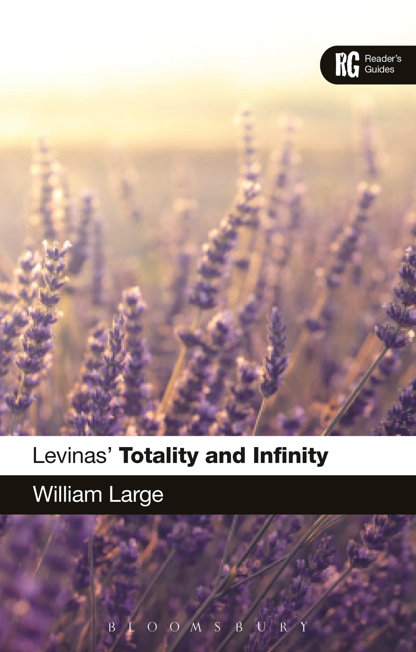 Levinas' 'Totality and Infinity': A Reader's Guide (Reader's Guides)