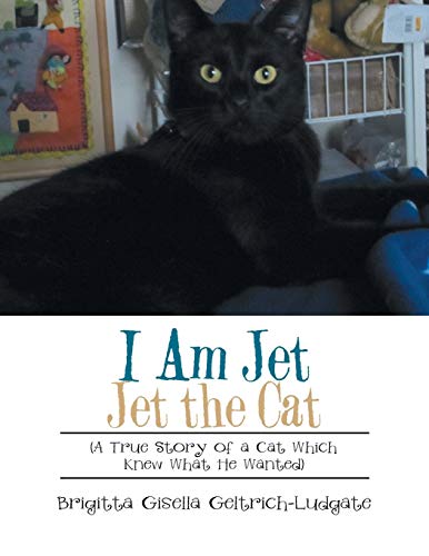I Am Jet Jet the Cat: (A True Story of a Cat Which Knew What He Wanted)