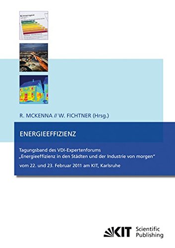 Energieeffizienz: Tagungsband des VDI-Expertenforums Energieeffizienz in den Städten und der Industrie von Morgen vom 22. und 23. Februar 2011 am Kit, Karlsruhe
