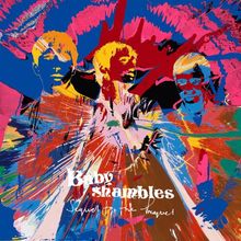 Sequel to the Prequel (Limited Deluxe Edition) von Babyshambles | CD | Zustand gut