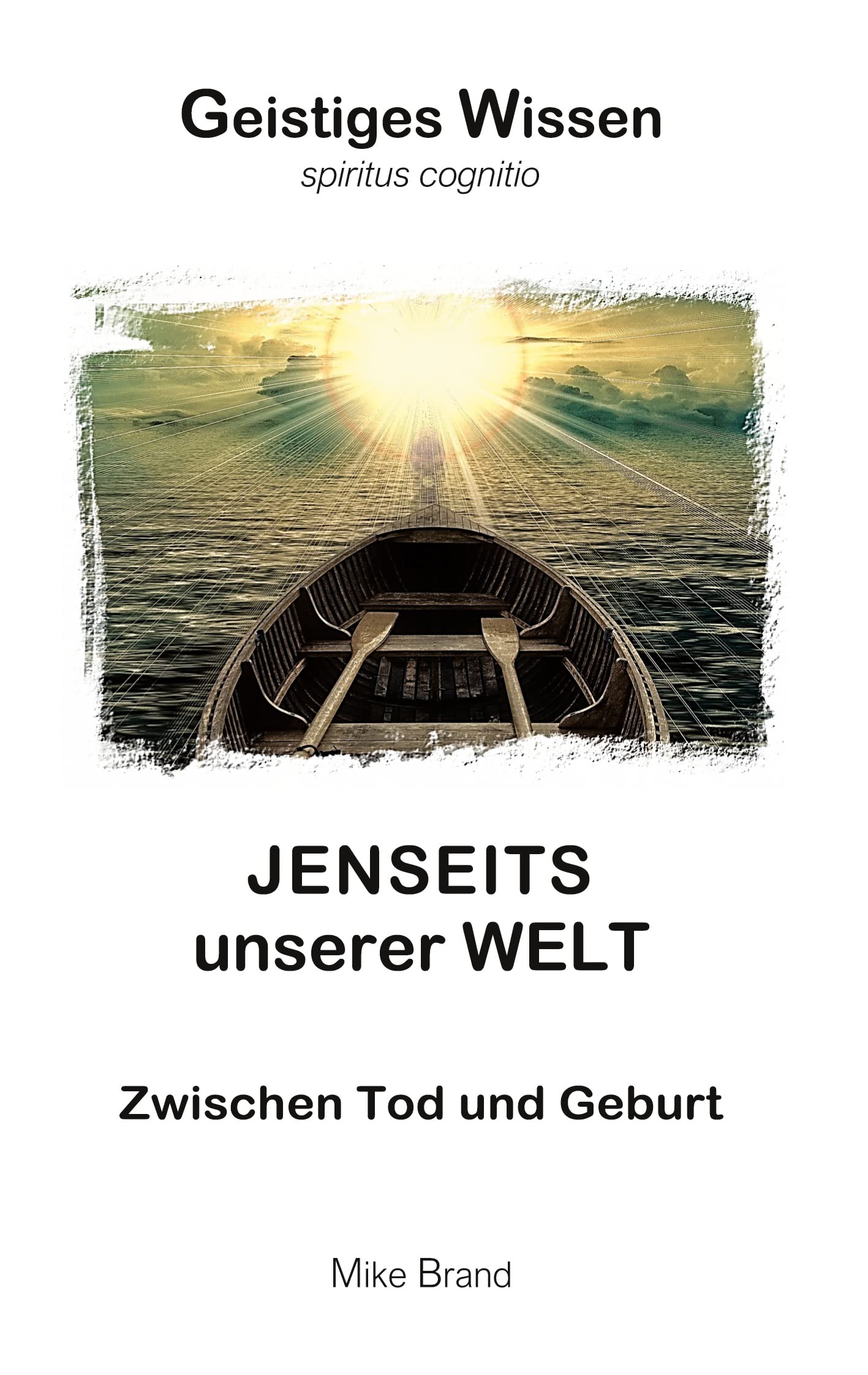 Jenseits unserer Welt: Zwischen Tod und Geburt (Geistiges Wissen)