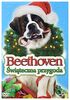 Beethoven Christmas Adventure [DVD] [Region 2] (IMPORT) (Keine deutsche Version)