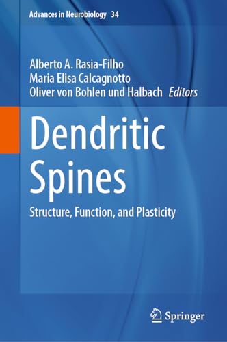 Dendritic Spines: Structure, Function, and Plasticity (Advances in Neurobiology, 34, Band 34)