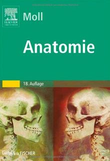 Anatomie: Kurzlehrbuch zum Gegenstandskatalog 1