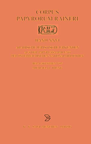 Arabische juristische Urkunden aus der Papyrussammlung der Österreichischen Nationalbibliothek (Corpus Papyrorum Raineri, Band 26)