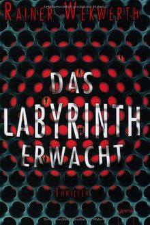 Das Labyrinth erwacht