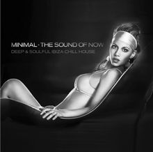 Minimal-the Sound of Now Vol. 1 von Various | CD | Zustand sehr gut
