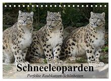 Schneeleoparden. Perfekte Raubkatzen-Schönheiten (Tischkalender 2023 DIN A5 quer), Calvendo Monatskalender