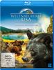Weltnaturerbe USA - Yellowstone Nationalpark [Blu-ray]