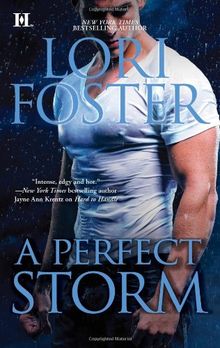 A Perfect Storm von Lori Foster | Buch | Zustand gut