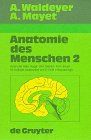 Anatomie des Menschen, 2 Bde., Bd.2, Kopf und Hals, Auge, Ohr, Gehirn, Arm, Brust