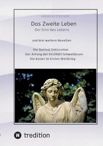Das Zweite Leben - Andreas Stricker Kartoniert (TB)