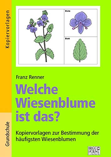 Welche Wiesenblume ist das?: Kopiervorlagen zur Bestimmung der häufigsten Wiesenblumen