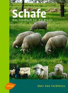 Schafe: Das Fotobuch für die Praxis von Fischer, Gerhard, Kuhn, Regina | Buch | Zustand sehr gut
