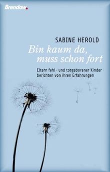 Bin kaum da, muss schon fort: Eltern fehl- und totgeborener Kinder berichten von ihren Erfahrungen