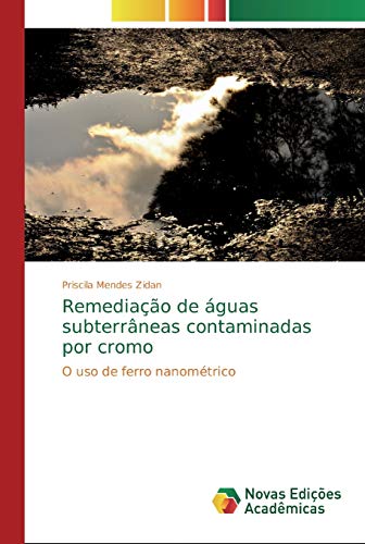 Remediação de águas subterrâneas contaminadas por cromo: O uso de ferro nanométrico