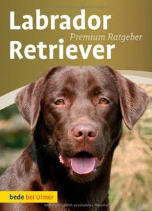 Labrador Retriever Von Annette Schmitt - 