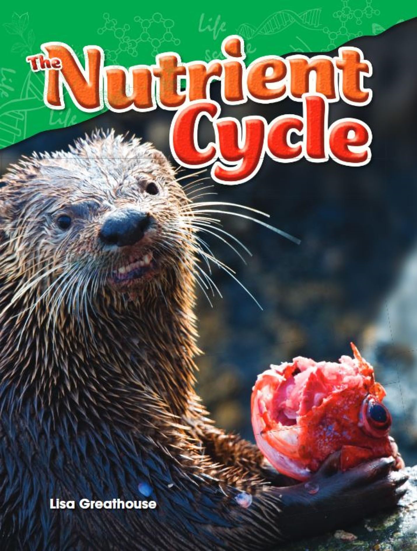The Nutrient Cycle (Life Science/TCM 21680)