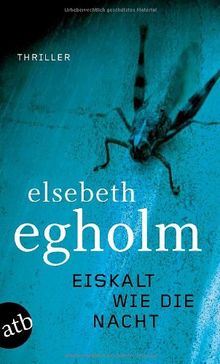 Eiskalt wie die Nacht: Thriller (Dicte Svendsen ermittelt)