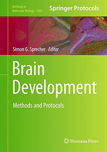 Brain Development: Methods and Protocols (Methods in Molecular Biology)
