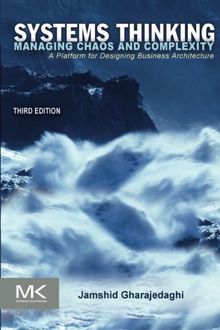 Systems Thinking: Managing Chaos and Complexity: A Platform for Designing Business Architecture