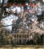Savannah Style: Mystery and Manners: Mystery & Manners