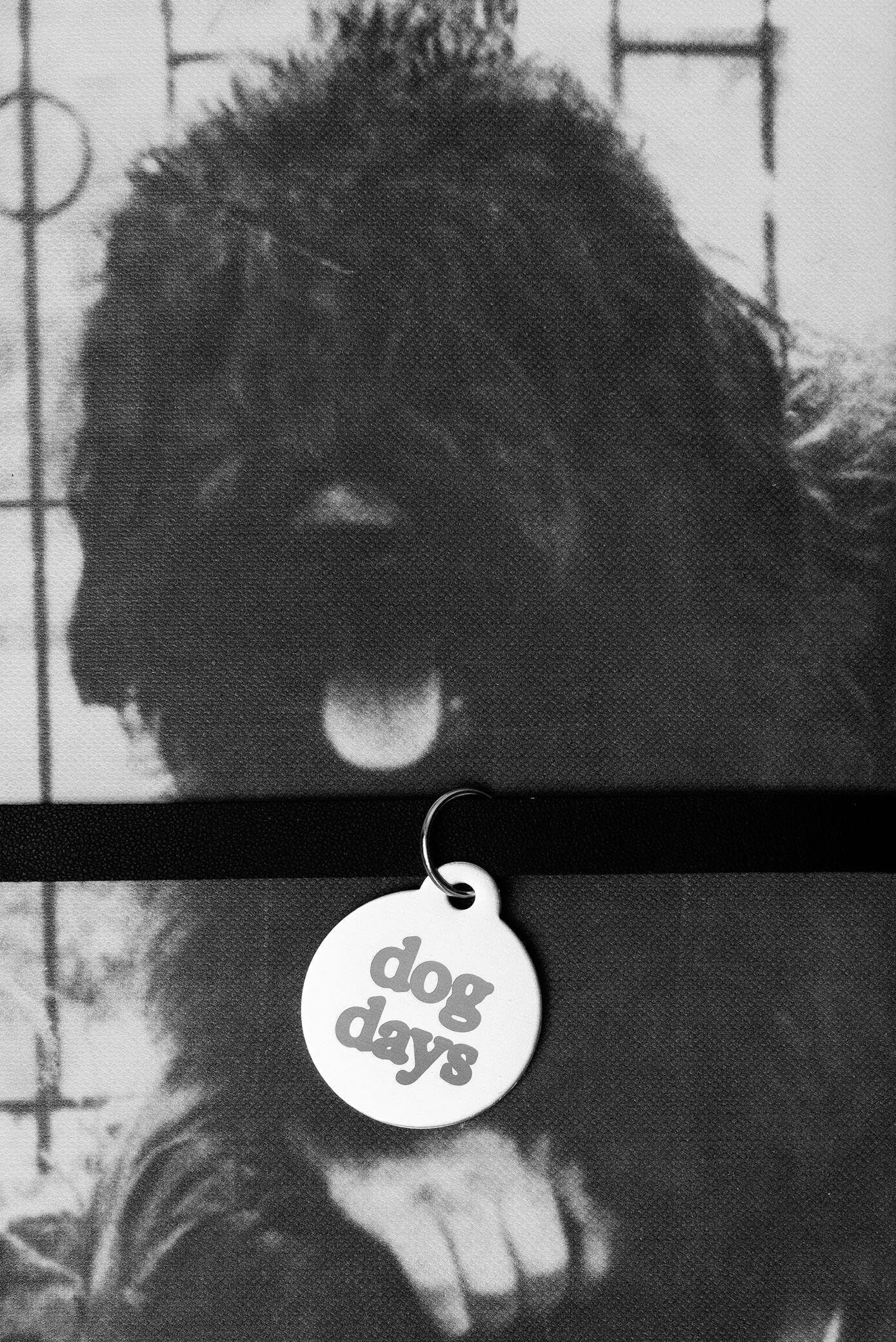dog days