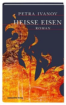 Heisse Eisen: Roman