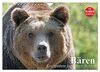 Bären. Kraftpakete auf leisen Sohlen (Wandkalender 2024 DIN A4 quer), CALVENDO Monatskalender