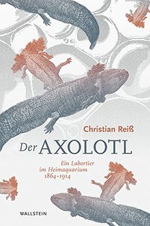 Der Axolotl: Ein Labortier im Heimaquarium 1864 -1914