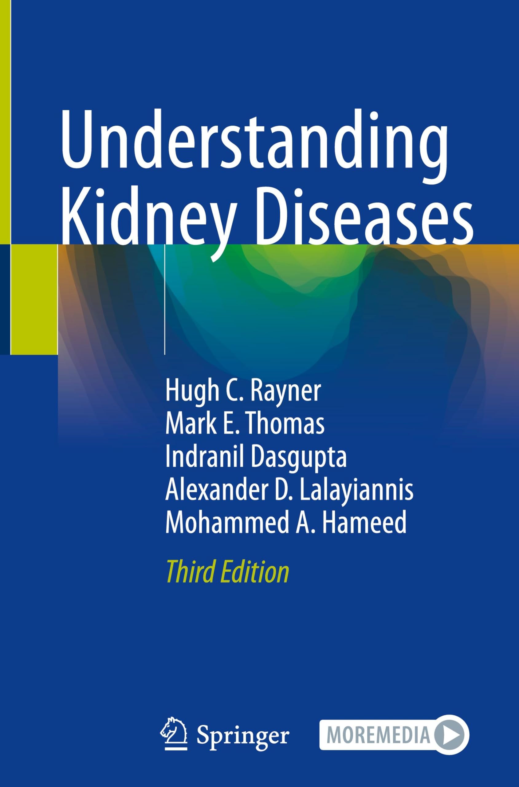 Understanding Kidney Diseases: With Online Files